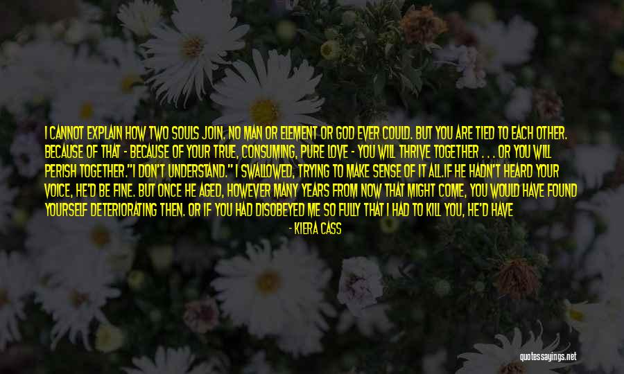 True Love Dying Quotes By Kiera Cass