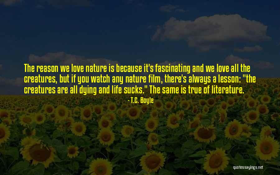 True Love Dying Quotes By T.C. Boyle