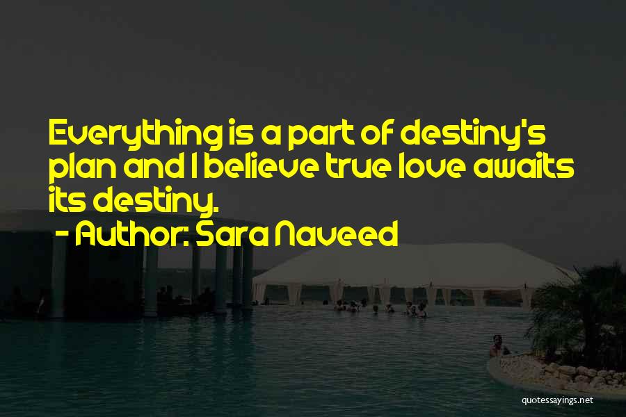 True Love Is Everything Quotes By Sara Naveed