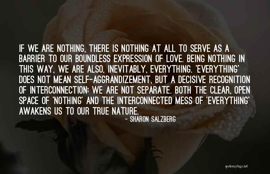 True Love Is Nothing Quotes By Sharon Salzberg