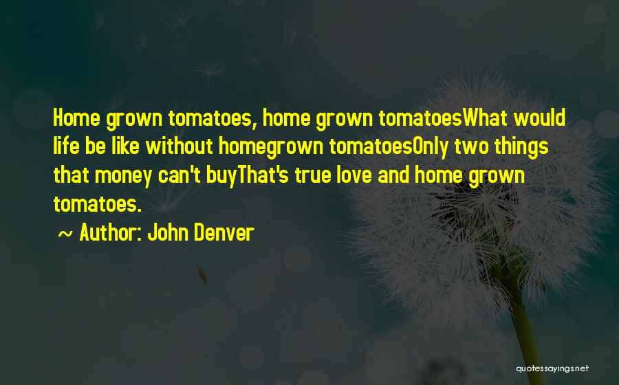 True Love Money Quotes By John Denver