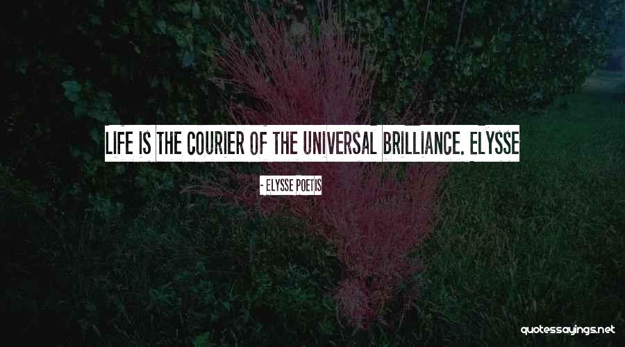True Love Poetry Quotes By Elysse Poetis True Love Poetry Quotes By Elysse Poetis