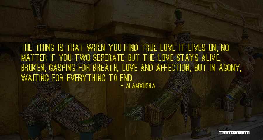 True Love Stays Quotes By Alamvusha