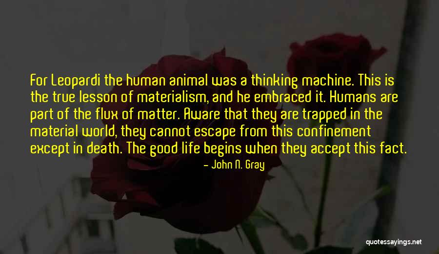 True Material World Quotes By John N. Gray True Material World Quotes By John N. Gray