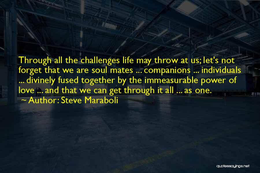 True Mates Quotes By Steve Maraboli