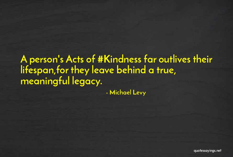 True Meaning Of Life Quotes By Michael Levy