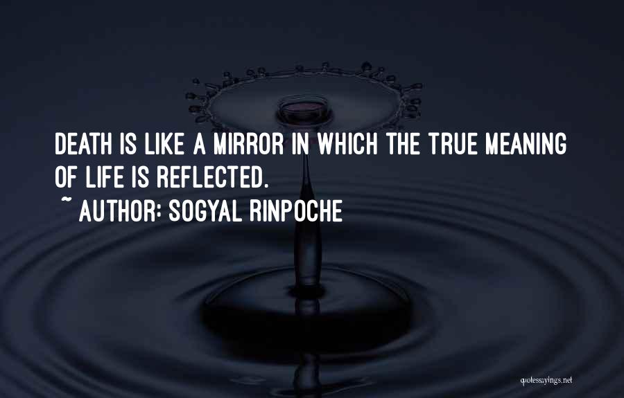 True Meaning Of Life Quotes By Sogyal Rinpoche