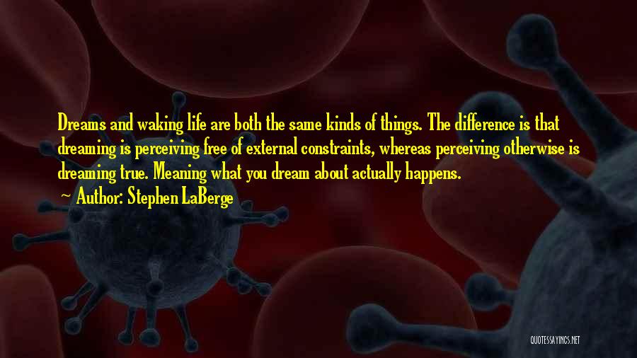 True Meaning Of Life Quotes By Stephen LaBerge