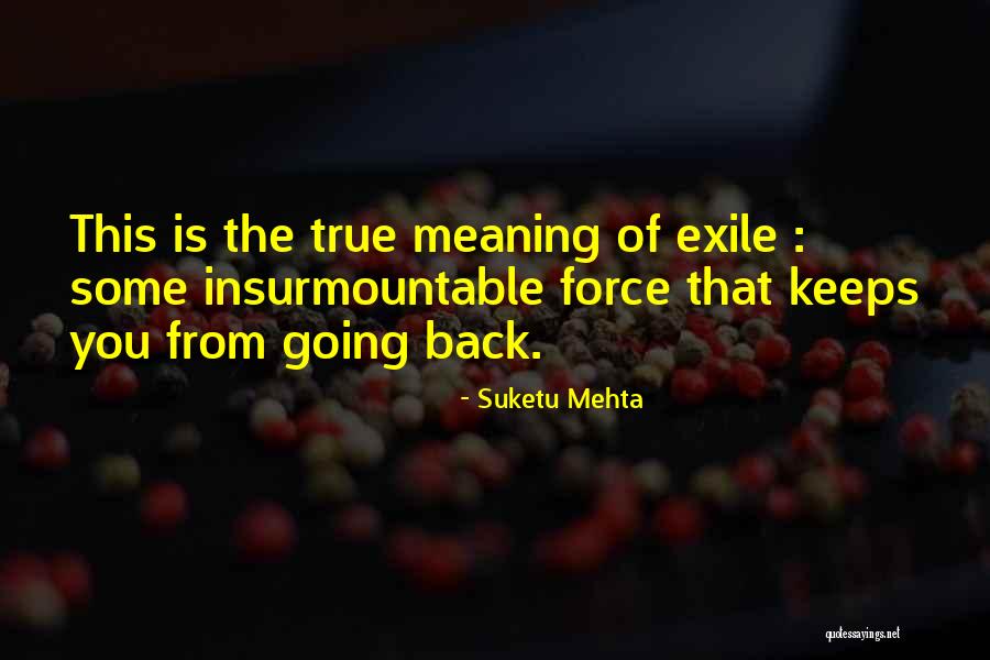 True Meaning Of Life Quotes By Suketu Mehta