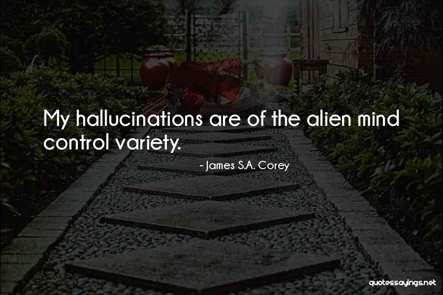 True Meaning Of Valentines Day Quotes By James S.A. Corey True Meaning Of Valentines Day Quotes By James S.A. Corey