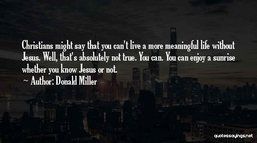 True Meaningful Life Quotes By Donald Miller