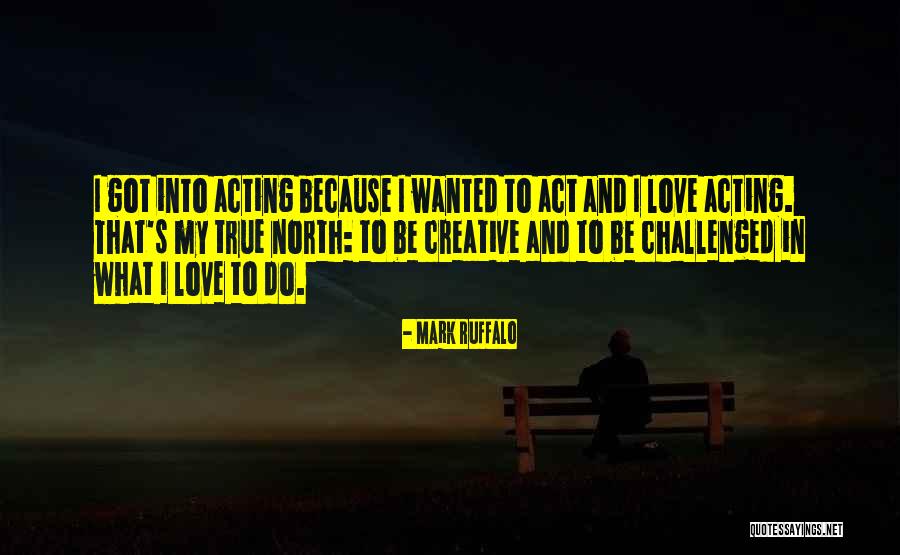 True North Quotes By Mark Ruffalo True North Quotes By Mark Ruffalo