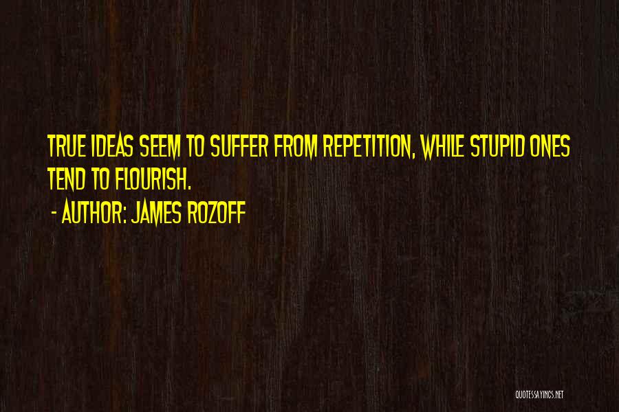 True Ones Quotes By James Rozoff