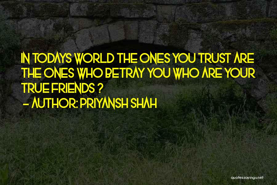 True Ones Quotes By Priyansh Shah