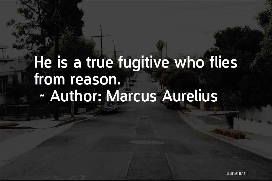 True Quotes By Marcus Aurelius