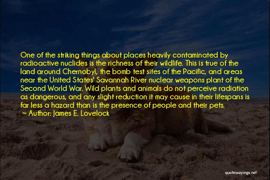 True Richness Quotes By James E. Lovelock