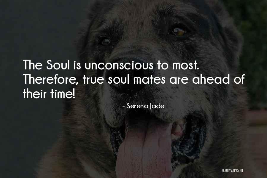 True Soul Connection Quotes By Serena Jade True Soul Connection Quotes By Serena Jade