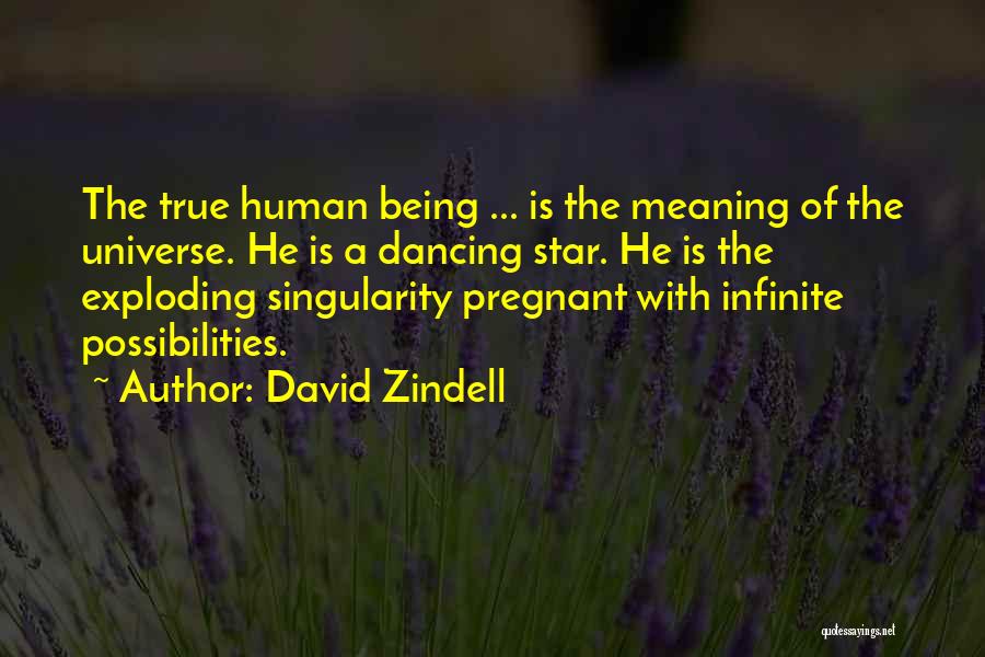 True Star Quotes By David Zindell