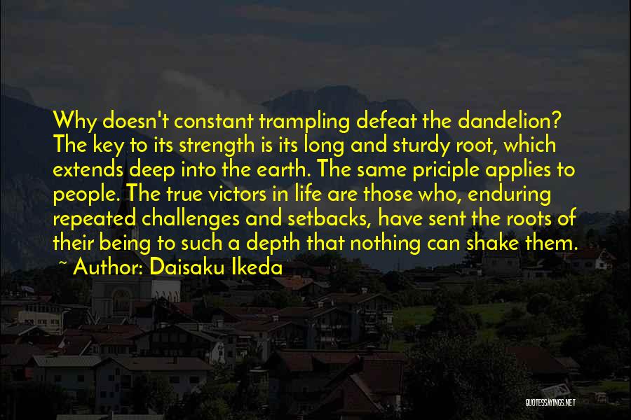 True Strength Quotes By Daisaku Ikeda