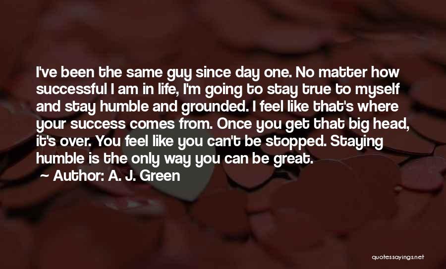 True Success In Life Quotes By A. J. Green