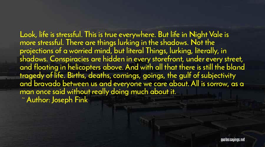 True Things About Life Quotes By Joseph Fink