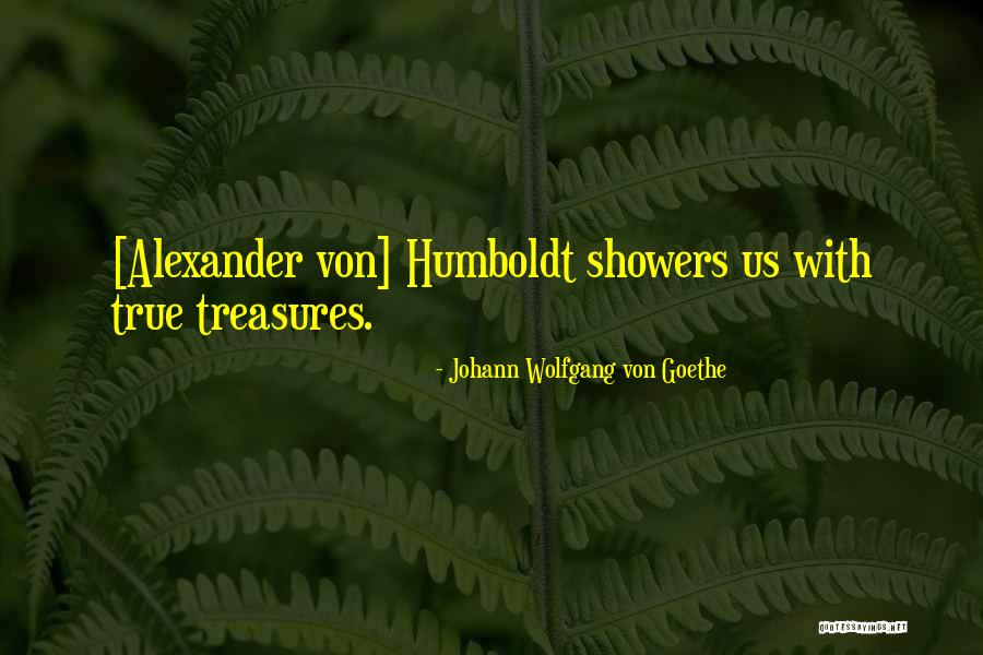 True Treasures Quotes By Johann Wolfgang Von Goethe