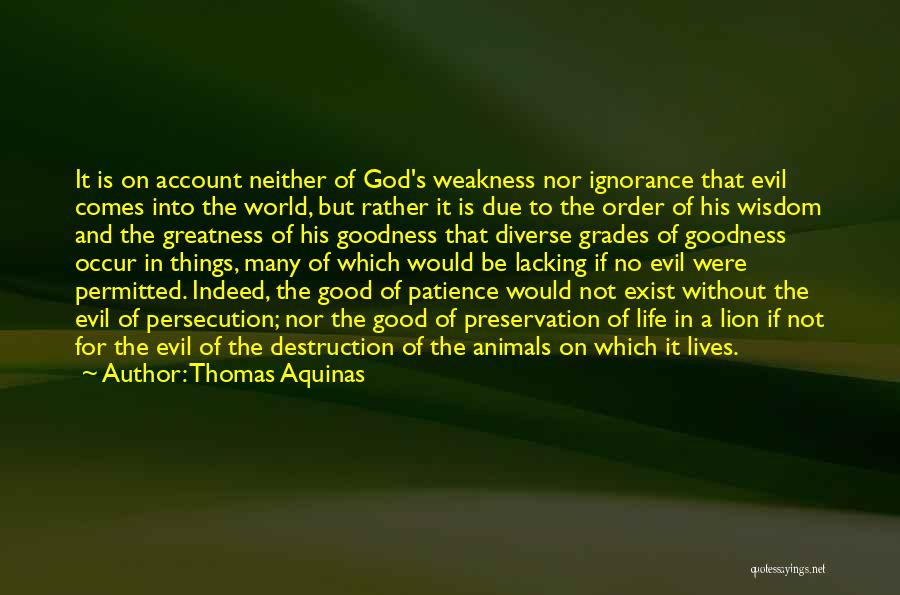 Trueheart Labrador Quotes By Thomas Aquinas