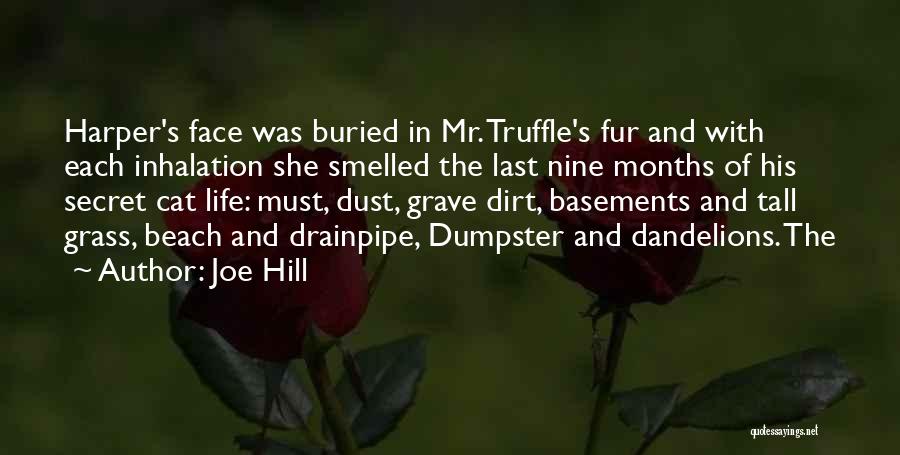 Truffle Quotes By Joe Hill