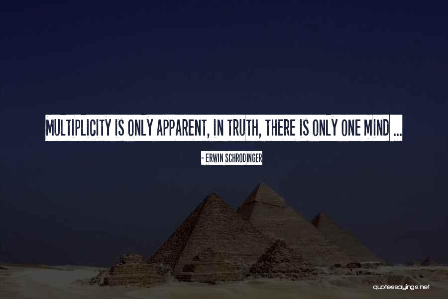 Truitje Fenerbahce Quotes By Erwin Schrodinger Truitje Fenerbahce Quotes By Erwin Schrodinger