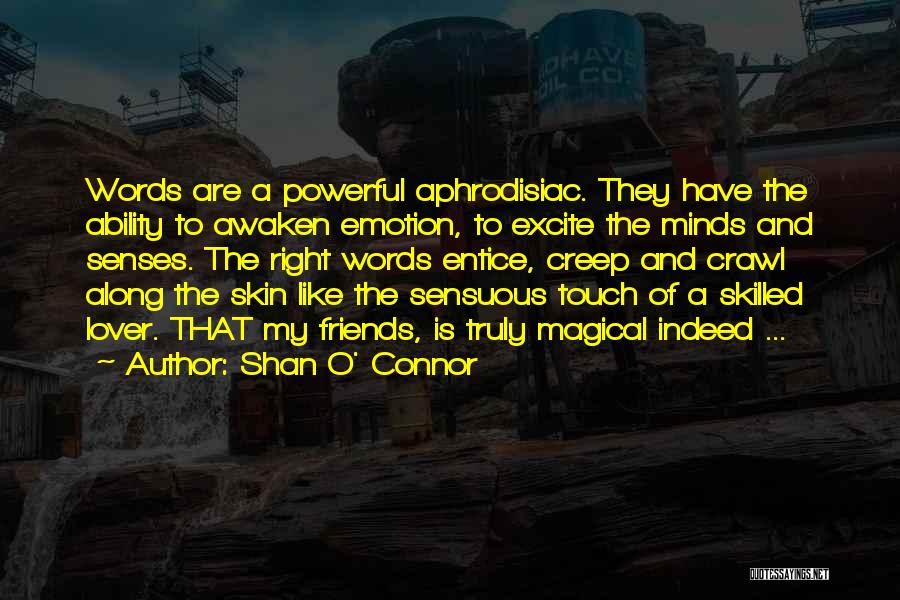 Truly Powerful Quotes By Shan O' Connor