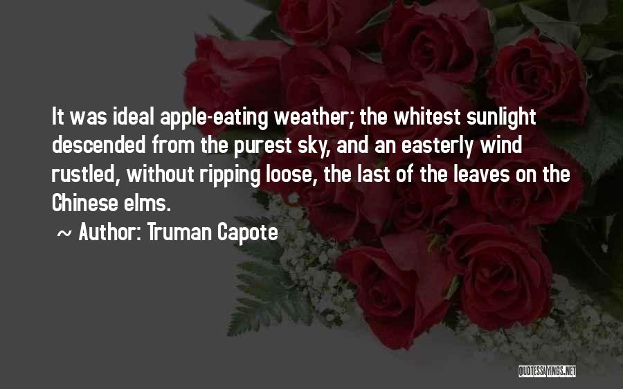 Truman Capote Quotes 1790036