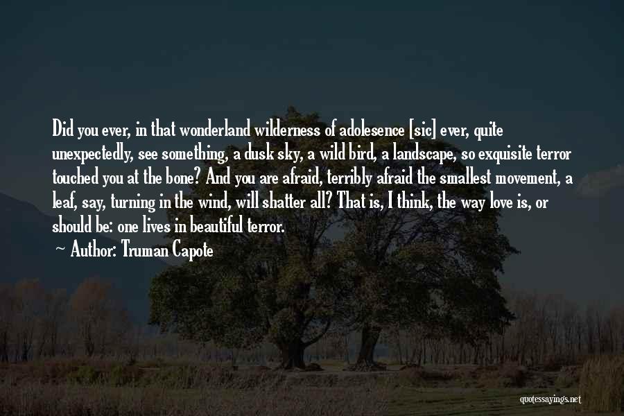 Truman Capote Quotes 648920