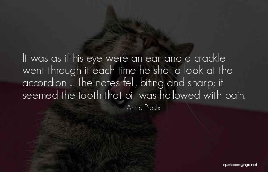 Trump Moron Quotes By Annie Proulx Trump Moron Quotes By Annie Proulx