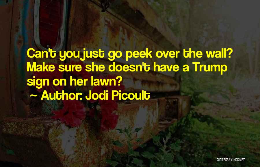 Trump Wall Quotes By Jodi Picoult