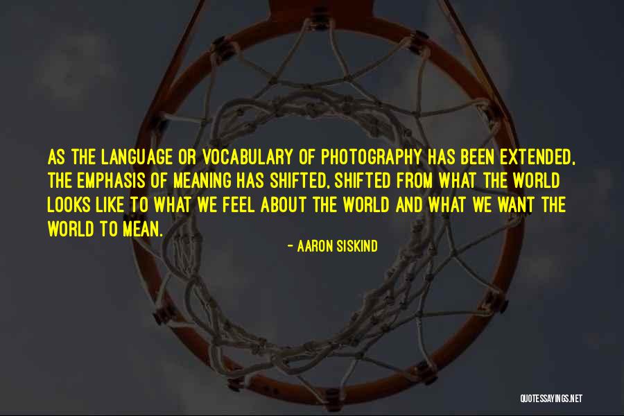 Trumpeter Of Krakow Quotes By Aaron Siskind