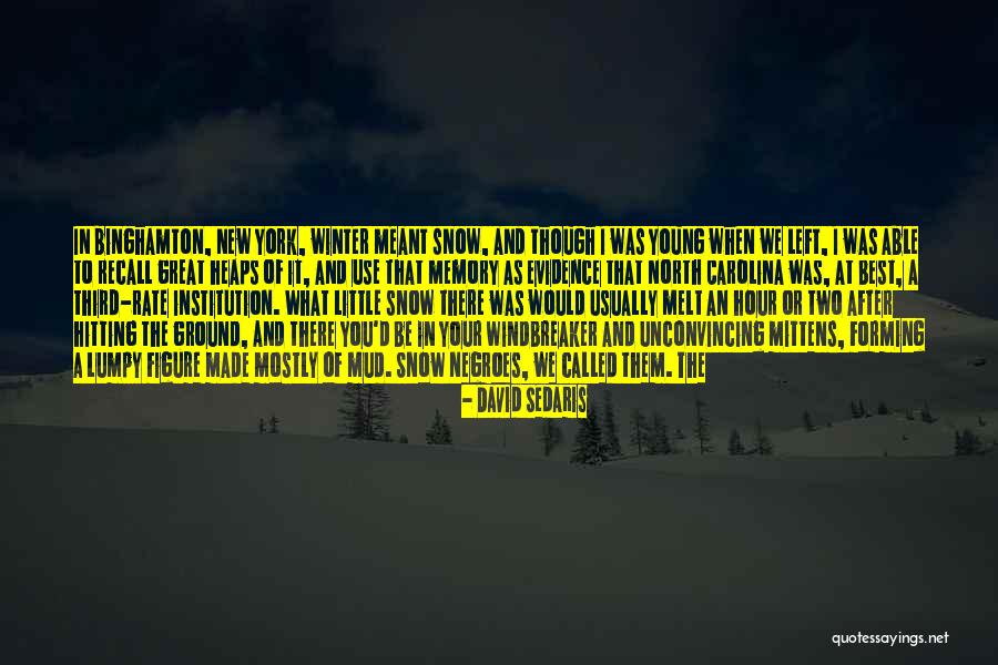Truncheon Weapon Quotes By David Sedaris Truncheon Weapon Quotes By David Sedaris