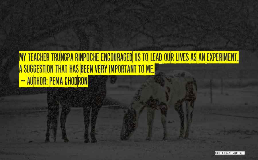 Trungpa Quotes By Pema Chodron