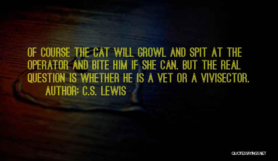 Trust And Faith Quotes By C.S. Lewis