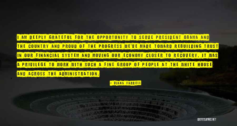 Trust At Work Quotes By Diana Farrell