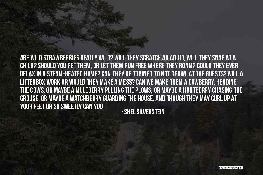 Trust At Work Quotes By Shel Silverstein