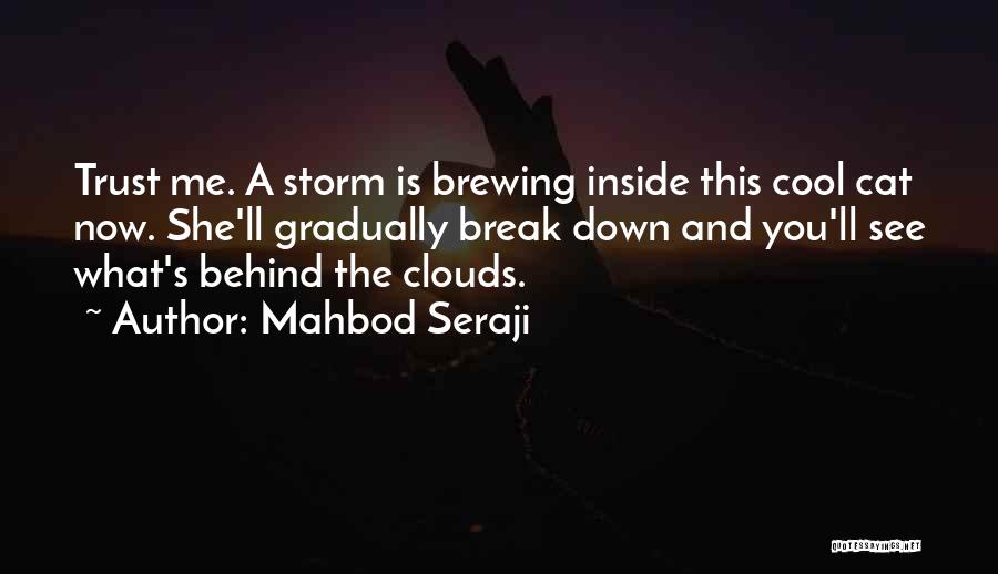 Trust Break Quotes By Mahbod Seraji