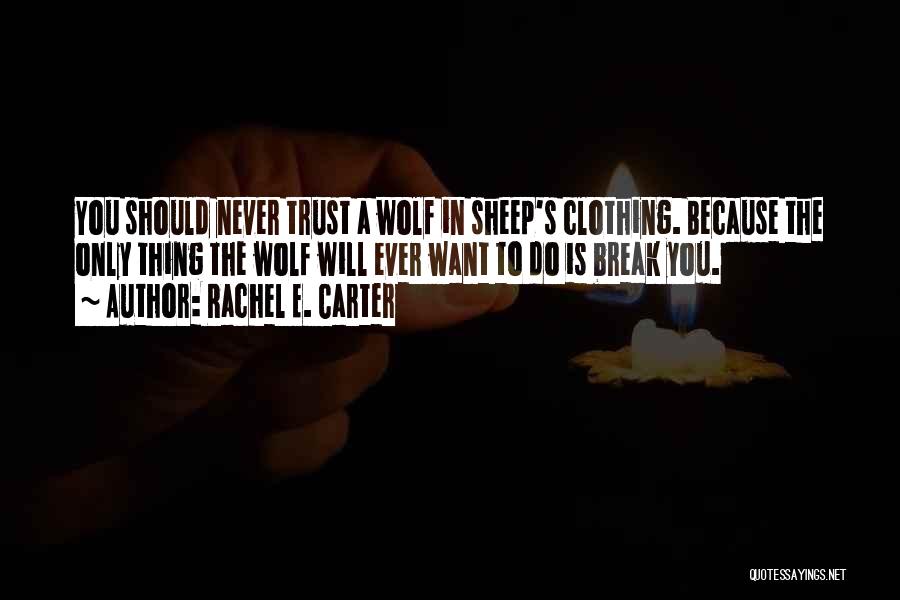 Trust Break Quotes By Rachel E. Carter