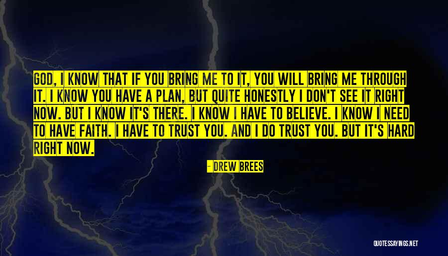 Trust God Plan Quotes By Drew Brees