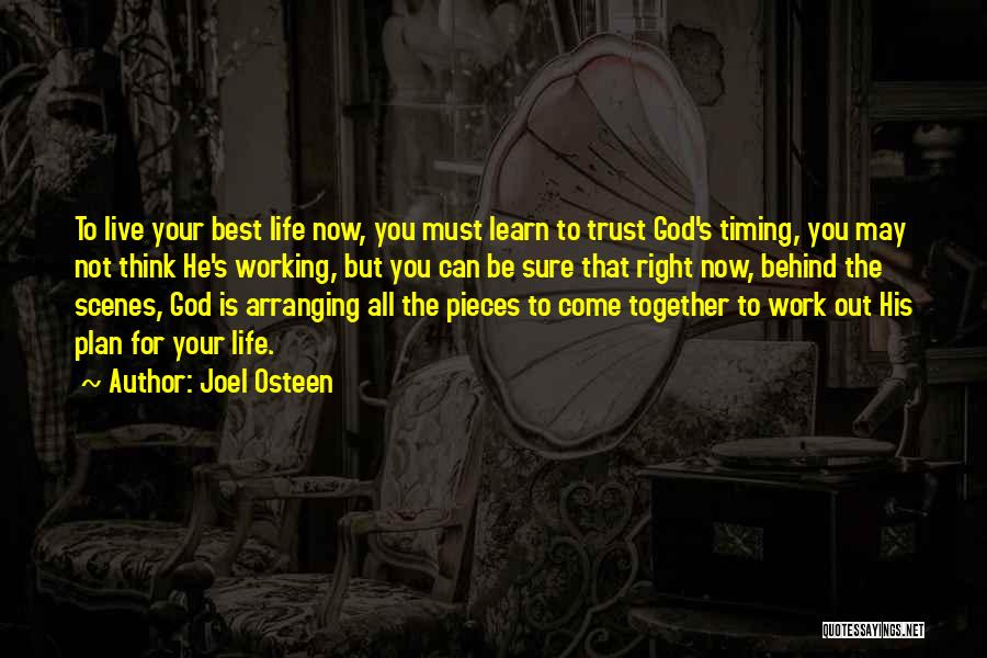 Trust God Plan Quotes By Joel Osteen