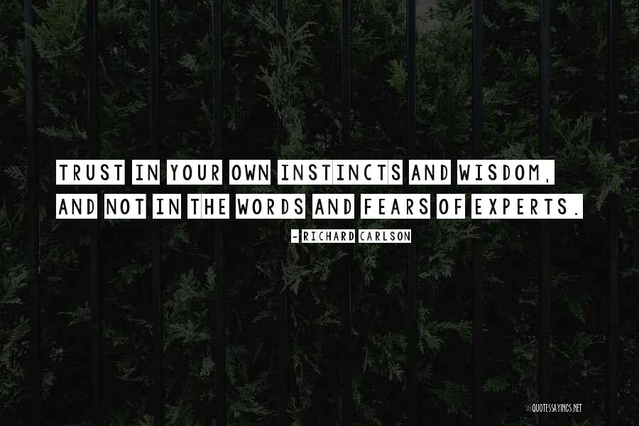 Trust Instincts Quotes By Richard Carlson Trust Instincts Quotes By Richard Carlson