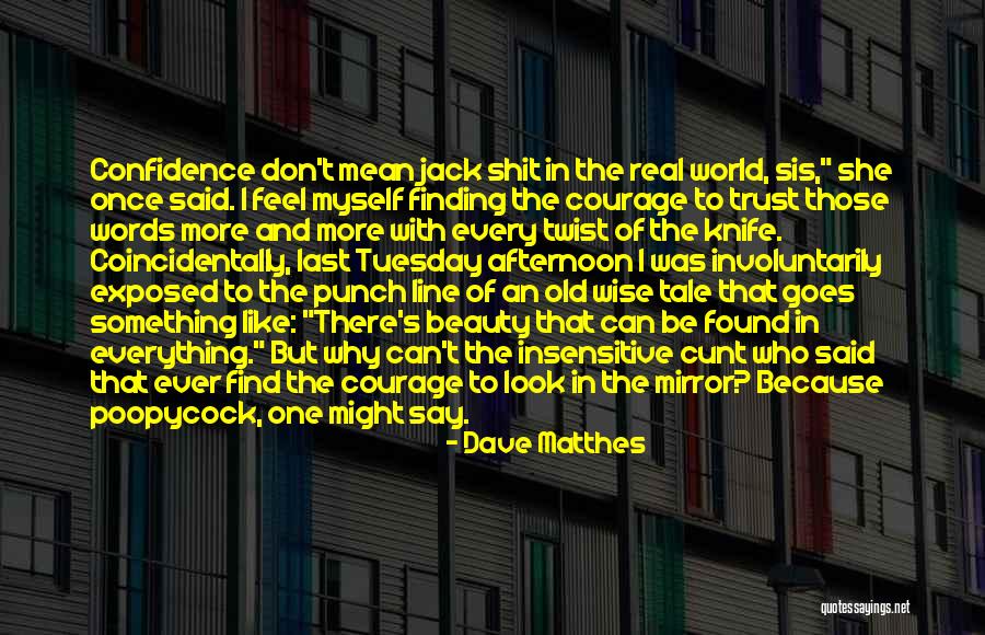 Trust Is Like A Mirror Quotes By Dave Matthes Trust Is Like A Mirror Quotes By Dave Matthes