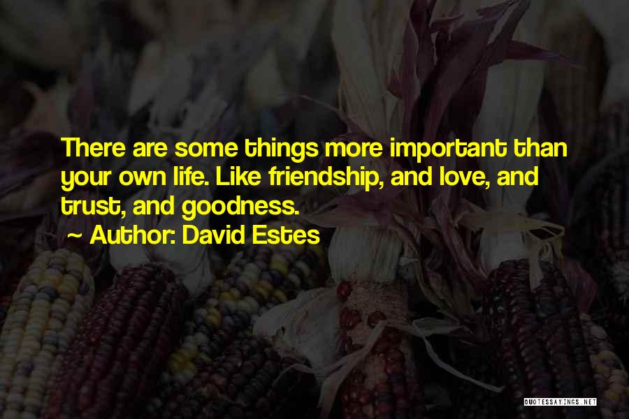 Trust Is More Important Than Love Quotes By David Estes