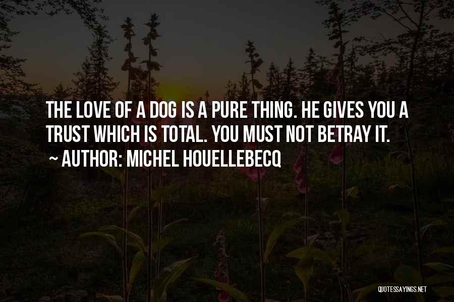 Trust Is Must Quotes By Michel Houellebecq