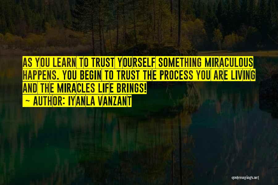 Trust The Process Of Life Quotes By Iyanla Vanzant