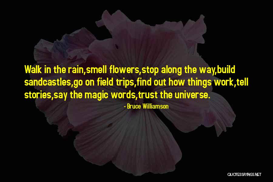 Trust The Universe Quotes By Bruce Williamson Trust The Universe Quotes By Bruce Williamson